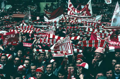 Scarves